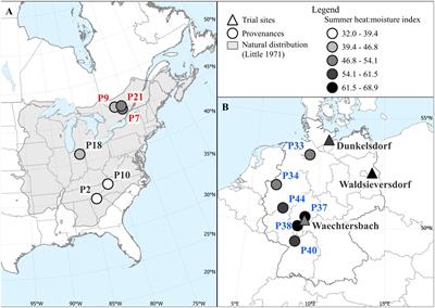 High risk, high gain? Trade-offs between growth and resistance to extreme events differ in northern red oak (Quercus rubra L.)